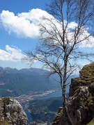 33 Betulla a picco sul lago